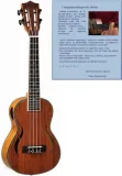 ukulele-sopranowe-segovia-plyta-wierzchnia-inna
