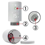 glowica-termostatyczna-sterownik-smart-bramka-zigbee-3-0-tuya-wifi-rodzaj-glowica-zawiera-baterie-tak