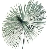 wycior-do-komina-szczotka-kula-rekawice-lina-15mb-zestaw-kominiarski-fi-200-kod-producenta-sp12b