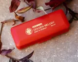 harmonijka-hohner-c-dur-kod-producenta-golden-melody-542-20-waga-z-opakowaniem-0-3-kg