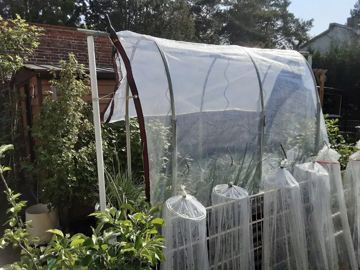 plandeka-ogrodowa-tarasowa-wodoodporna-przezroczysta-z-oczkami-pasami-3x3m-szerokosc-3-m-kod-producenta-plandeka-wodoodporna-z-pasami-mocujacymi