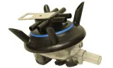 kolektor-udojowy-240-ml-8-mm-marka-bez-marki