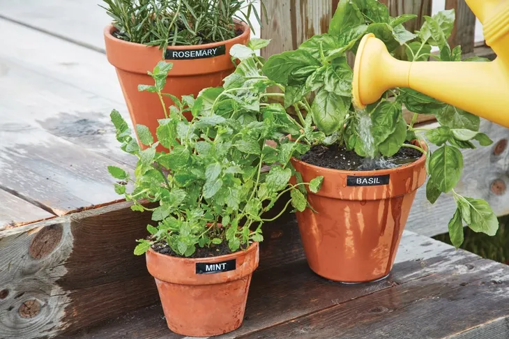 tasma-dymo-s0718050-waga-z-opakowaniem-0-15-kg-kolor-bialy