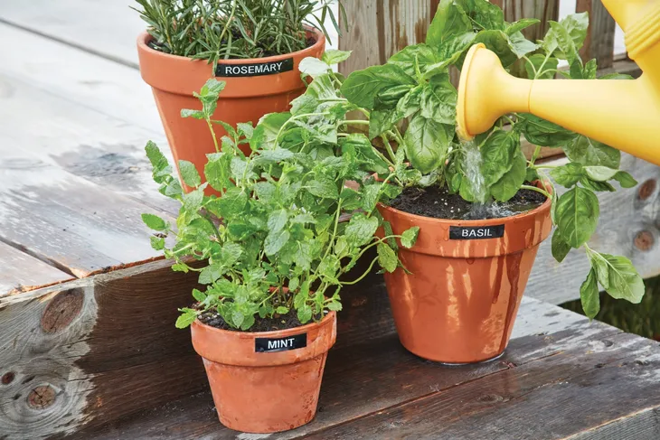 tasma-dymo-d1-durable-1978364-kolor-bialy