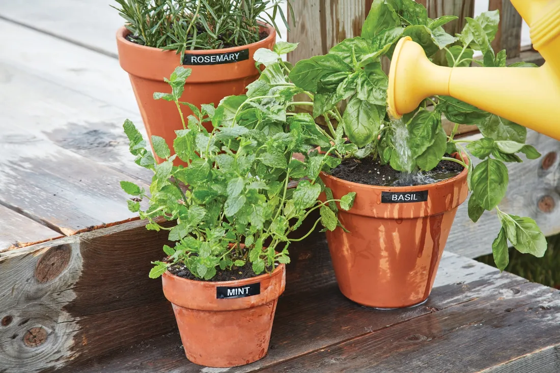 tasma-dymo-d1-durable-1978364