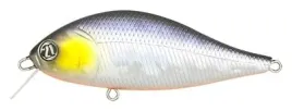 pontoon21-bet-a-shad-63sp-sr-a11-mat-chg-bv-back-o