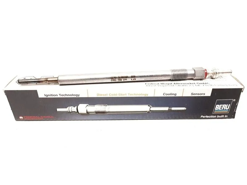 swieca-zarowa-borgwarner-beru-ge105