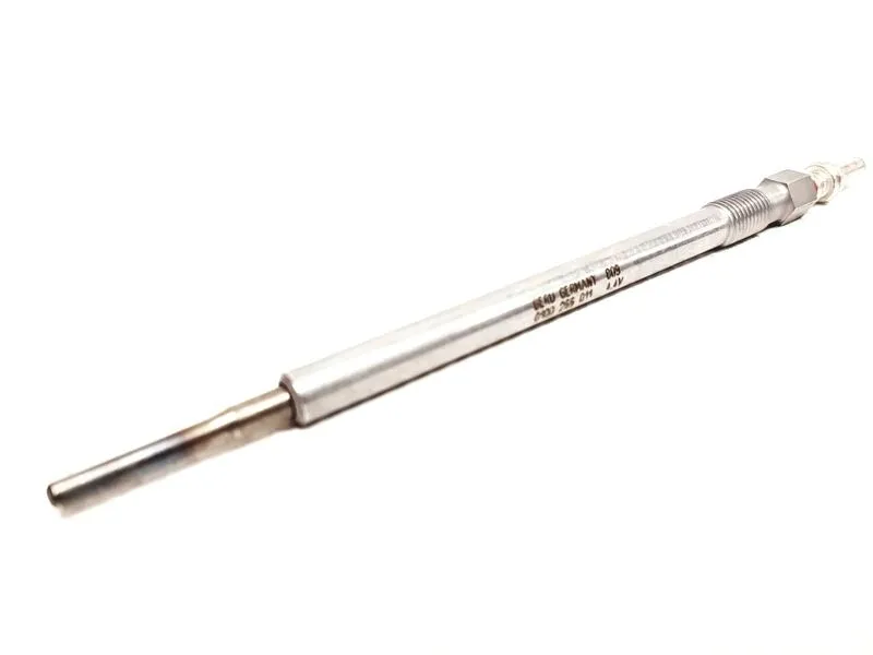 swieca-zarowa-borgwarner-beru-ge105