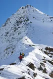 raki-koszykowe-salewa-alpinist-walk-black-rozmiar-zakresowy-35-48