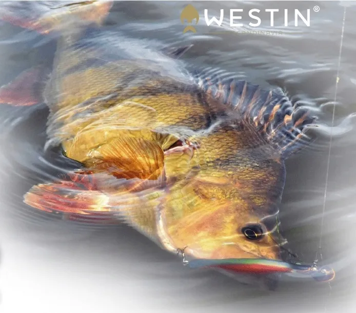 guma-westin-shadteez-slim-5-cm-przeznaczenie-okonie