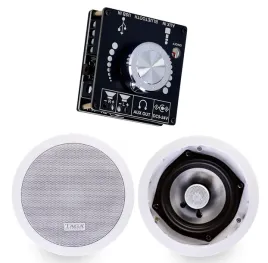 zestaw-bluetooth-wzmacniacz-glosniki-tcw-100r