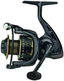 robinson-kolowrotek-big-mama-fd-608