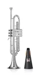 tlumik-do-trabki-denis-wick-synthetic-dw5571-waga-z-opakowaniem-0-05-kg-kod-producenta-dw5571