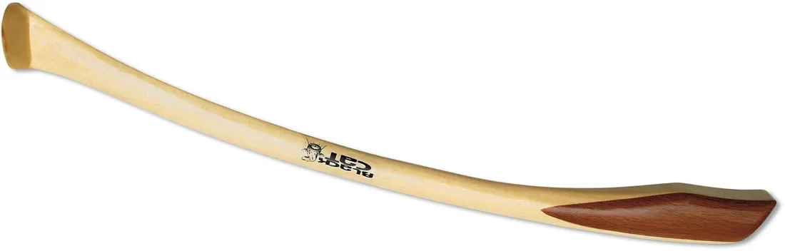 black-cat-shallow-water