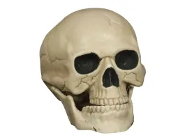 czaszka-stojacy-drewno-fiestas-guirca-20-cm