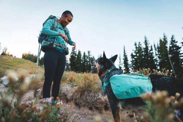 plecak-dla-psa-ruffwear-front-range-day-pack-basalt-gray-s-nazwa-handlowa-ruffwear-front-range-dog-day-pack