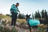 plecak-dla-psa-ruffwear-front-range-day-pack-basalt-gray-s-nazwa-handlowa-ruffwear-front-range-dog-day-pack