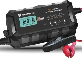 eco-worthy-prostownik-elektroniczny-do-akumulatora-samochodowego-10-a-12-v