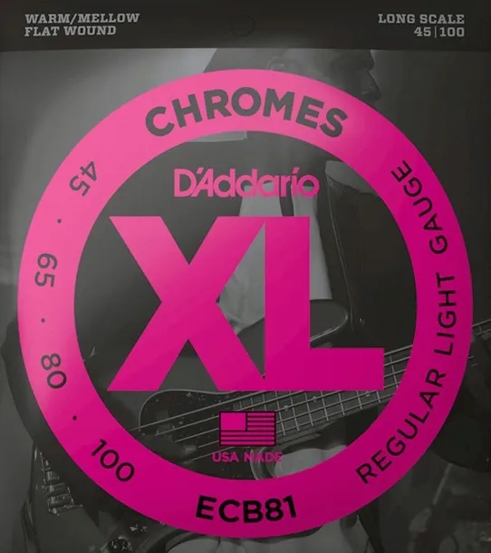 str-d-addario-ecb81-do-gitary-basowej-45-100-kod-producenta-ecb81