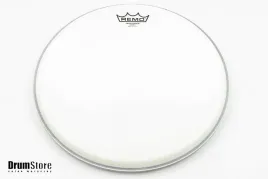 naciag-13-remo-ba-0113-ambassador