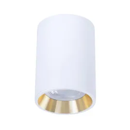 oprawa-oswietleniowa-sufitowa-natynkowa-spectrum-led-40-w-g10-7-cm-bialy