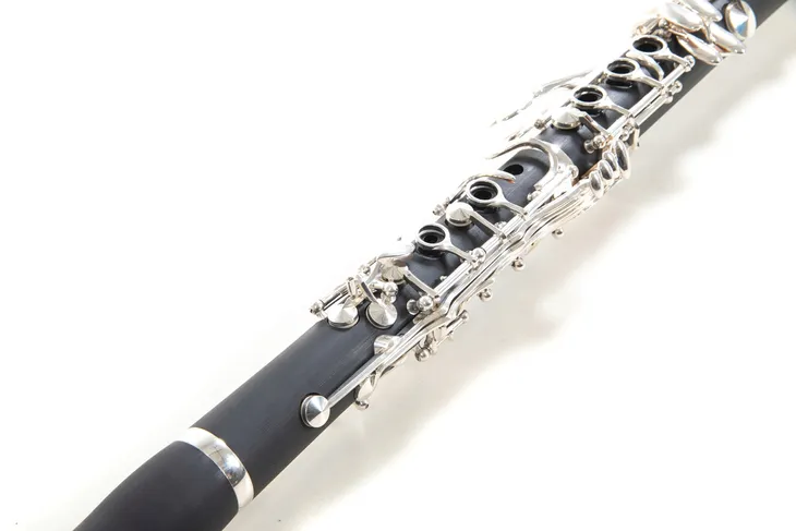 klarnet-roy-benson-cb217-kod-producenta-cb217-model-cb-217