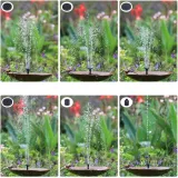 pompa-6-w-do-500-l-h-informacje-dodatkowe-zasilanie-solarne