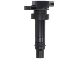 cewka-zaplonowa-delphi-gn10590-12b1