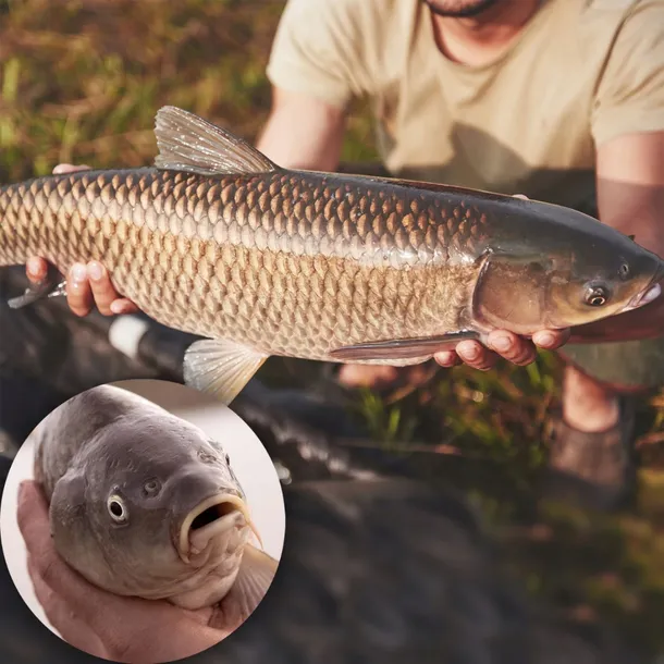 pasta-dociazajaca-carprus-tungsten-putty-kod-producenta-cru508010