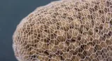 siatka-nash-webcast-pva-ultra-weave-narrow-model-webcast-pva-ultra-weave-narrow