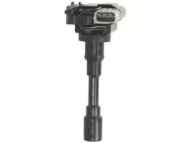 cewka-zaplonowa-delphi-gn10318-12b1