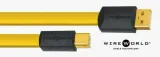 wireworld-chroma-8-usb-2-0-a-b-c2ab-1-0m-dlugosc-kabla-1-m