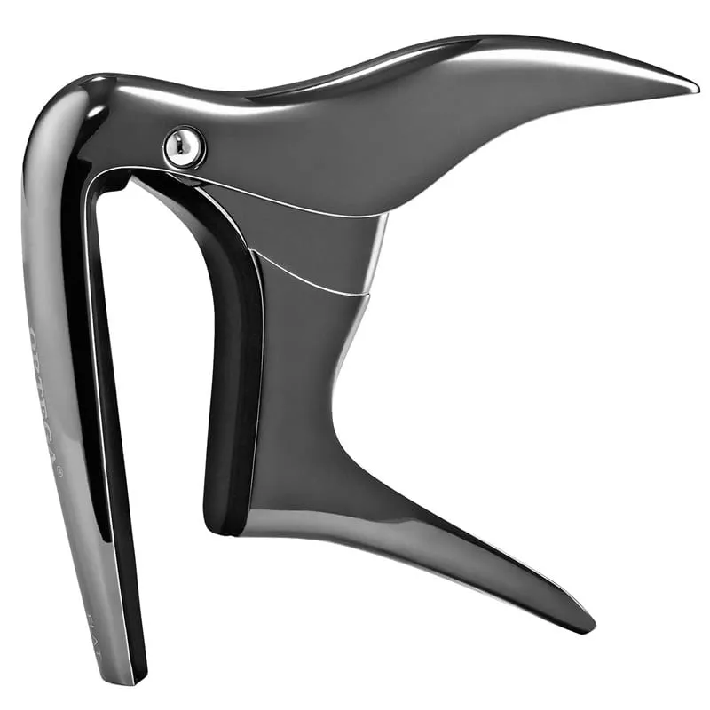 kapodaster-ortega-ocapo-bcr