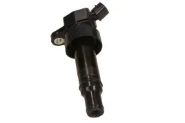 cewka-zaplonowa-delphi-gn10634-12b1