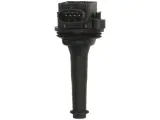 cewka-zaplonowa-delphi-gn10334-12b1