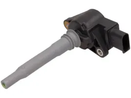 cewka-zaplonowa-delphi-gn10232-12b1