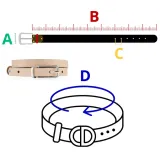 brodrene-pasek-bezowy-kobieta-material-dominujacy-skora-naturalna