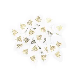 kostka-gitarowa-ernie-ball-eb-9101