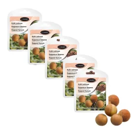 kulki-cedrowe-corbby-do-obuwia-5-szt-zestaw-odswiezacz-naturalny-zapach