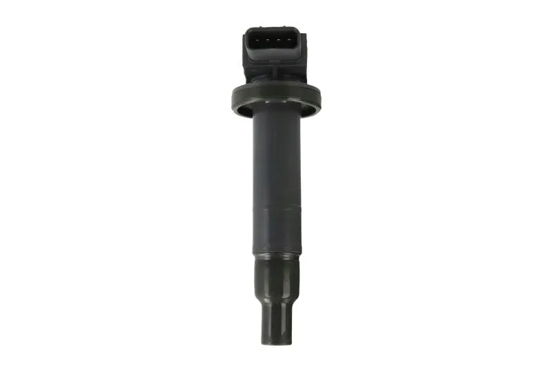 cewka-zaplonowa-delphi-gn10312-12b1