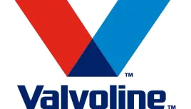 engine-oil-system-cleaner-300ml-valvoline-890608