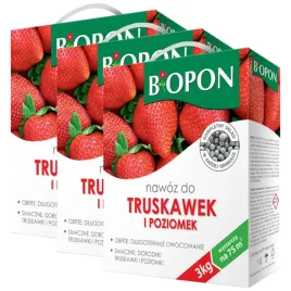 nawoz-do-truskawek-i-poziomek-biopon-granulat-obfite-plony-zestaw-3-sztuk