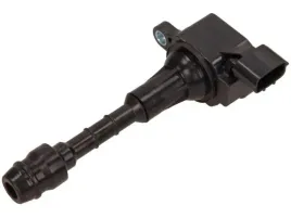 cewka-zaplonowa-delphi-gn10246-12b1