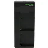 patonatwin-performance-ladowarka-pd-do-sony-f550-model-f550