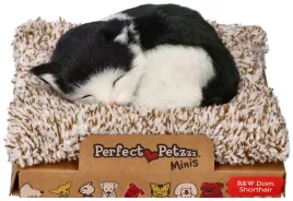 perfect-petzzz-kociak-czarno-bialy-maly-miauczy