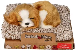 piesek-cavalier-king-charles-maskotka-perfect-petzzz