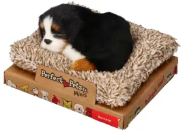 pies-bernenczyk-mini-maskotka-perfect-petzzz