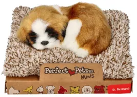 perfect-petzzz-szczeniaczek-bernardyn