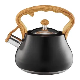 czajnik-tradycyjny-stalowy-ambition-25-l-czarny