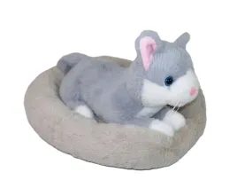 kotek-maskotka-kot-w-legowisku